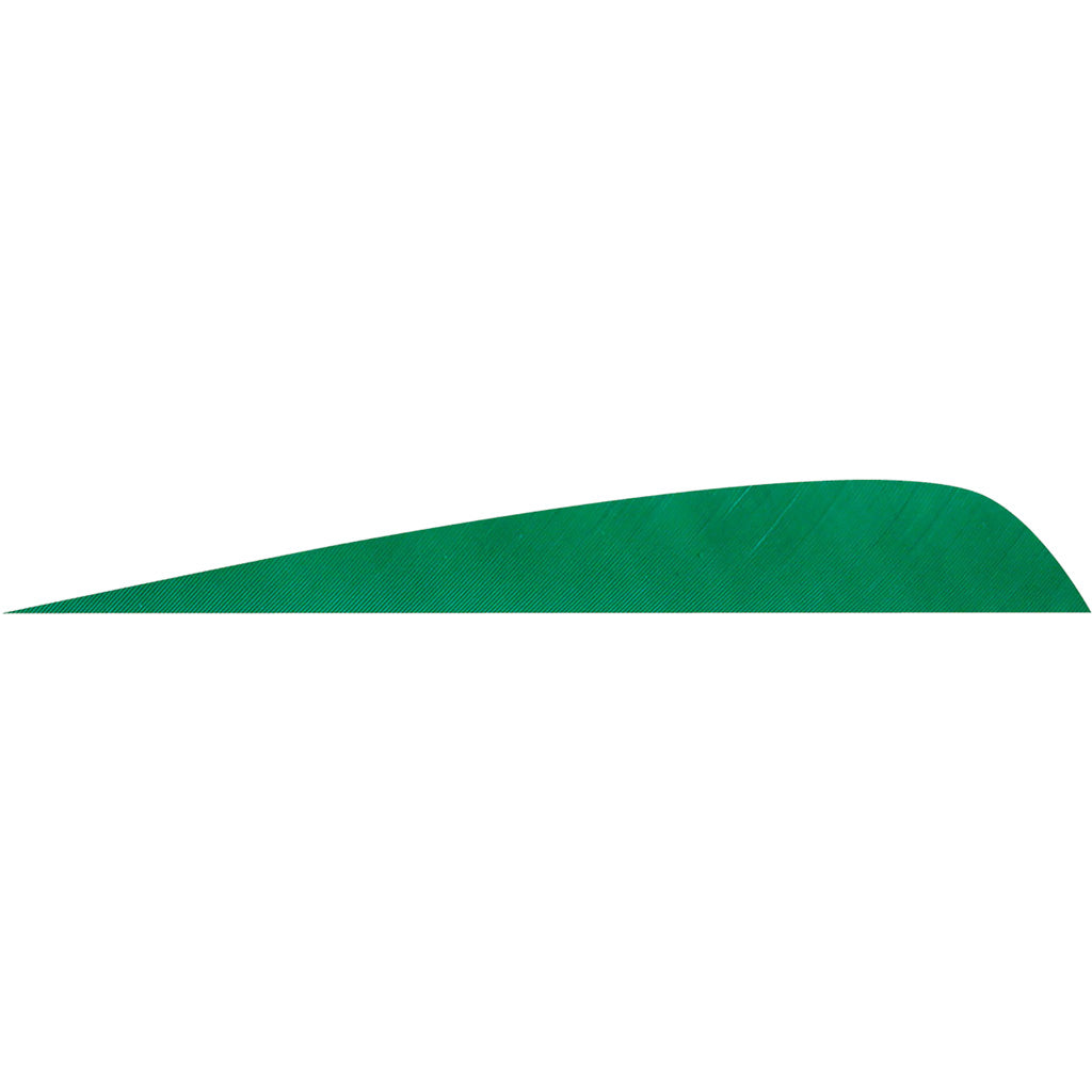 Gateway Parabolic Feathers Green 4 in. Left Wing 50 Pack