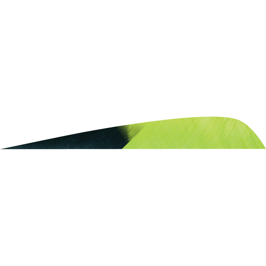 Gateway Parabolic Feathers Kuro Chartreuse 4 in. Left Wing 50 Pack