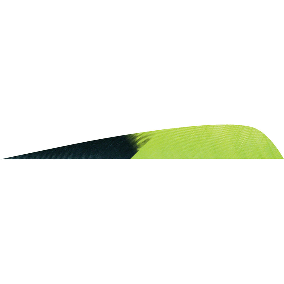 Gateway Parabolic Feathers Kuro Chartreuse 4 in. Left Wing 50 Pack