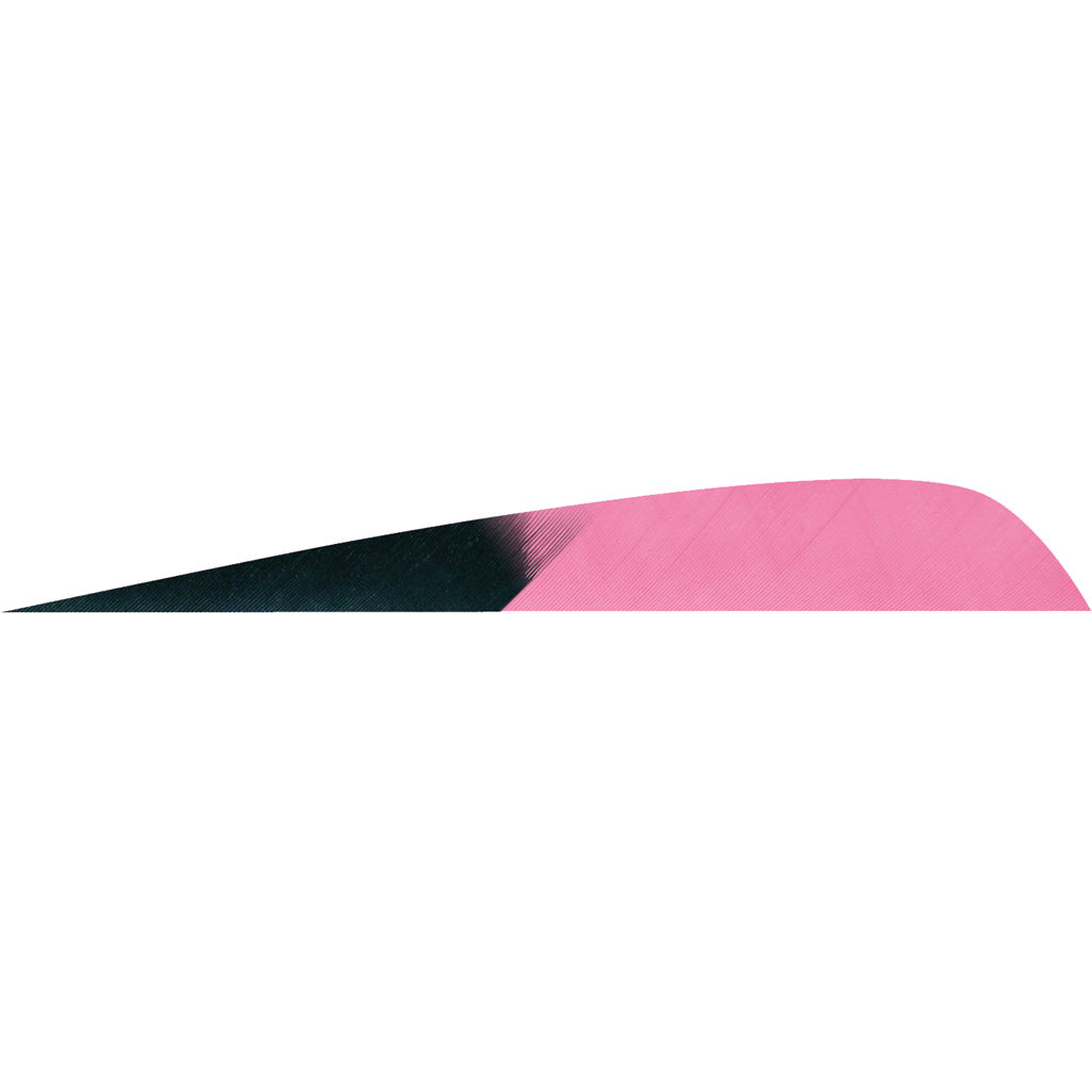 Gateway Parabolic Feathers Kuro Pink 4 in. Left Wing 50 Pack