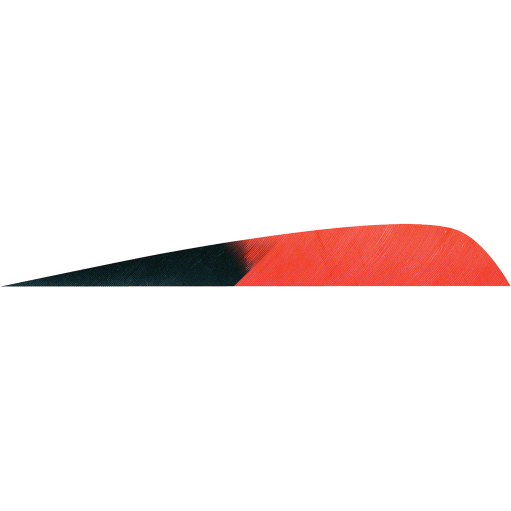 Gateway Parabolic Feathers Kuro Red 4 in. Left Wing 50 Pack