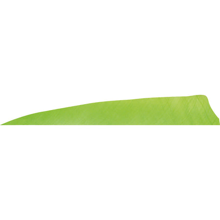 Gateway Shield Cut Feathers Chartreuse 4 in. Left Wing 50 Pack