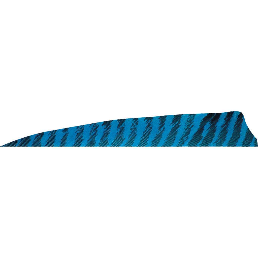 Gateway Shield Cut Feathers Barred Blue 4 in. Left Wing 50 Pack