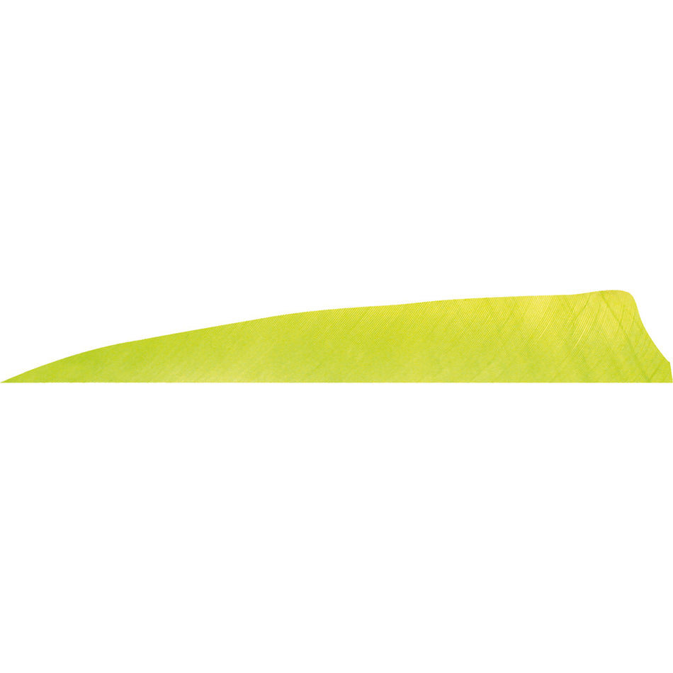 Gateway Shield Cut Feathers Lemon Lime 4 in. Left Wing 50-Pack