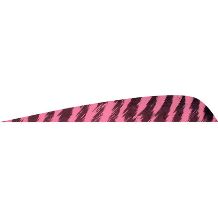 Gateway Parabolic Arrow Feathers Barred Flo Pink 4 in. Right Wing 50 Pack