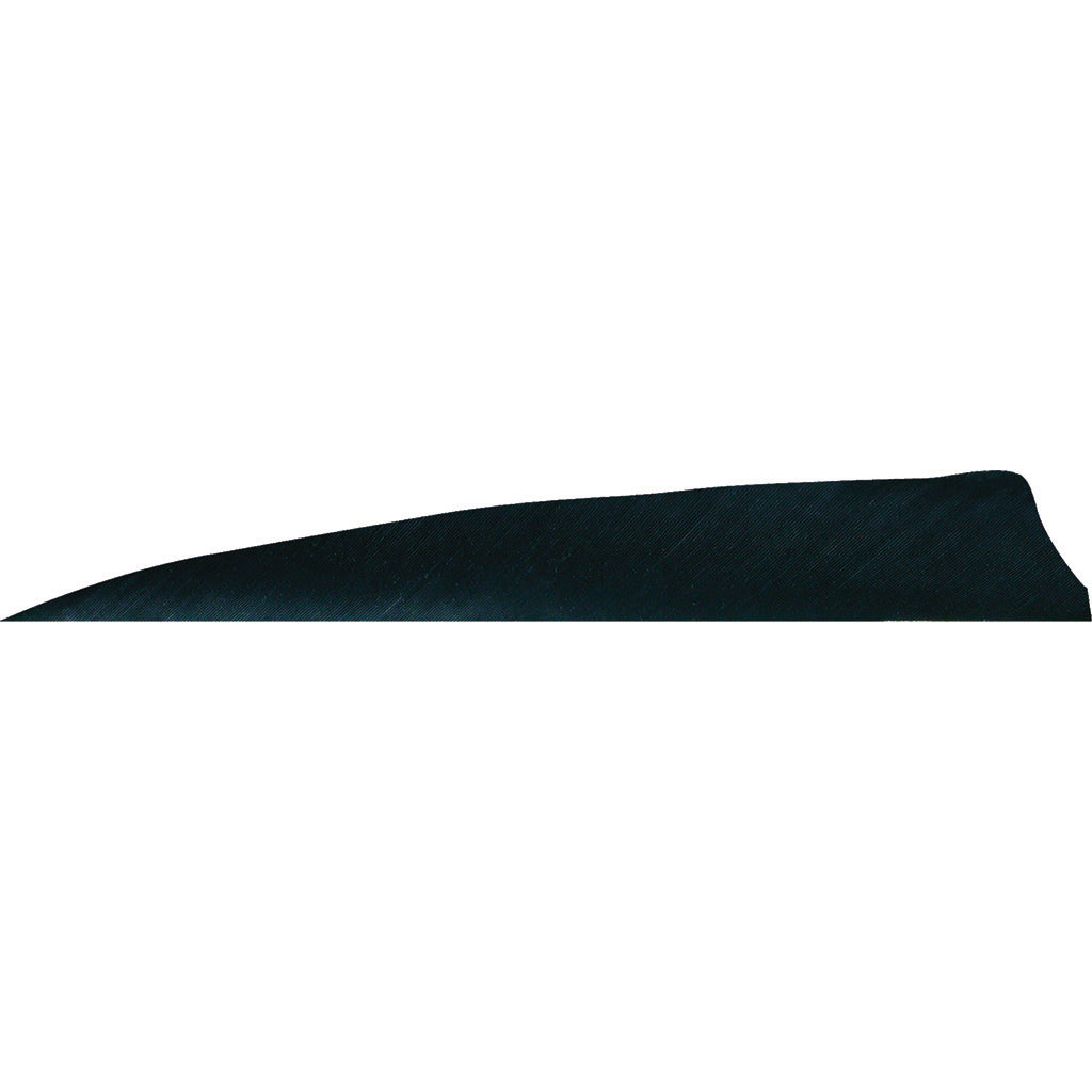 Gateway Shield Cut Feathers Black 4 in. RW 50-Pack Arrow Fletching