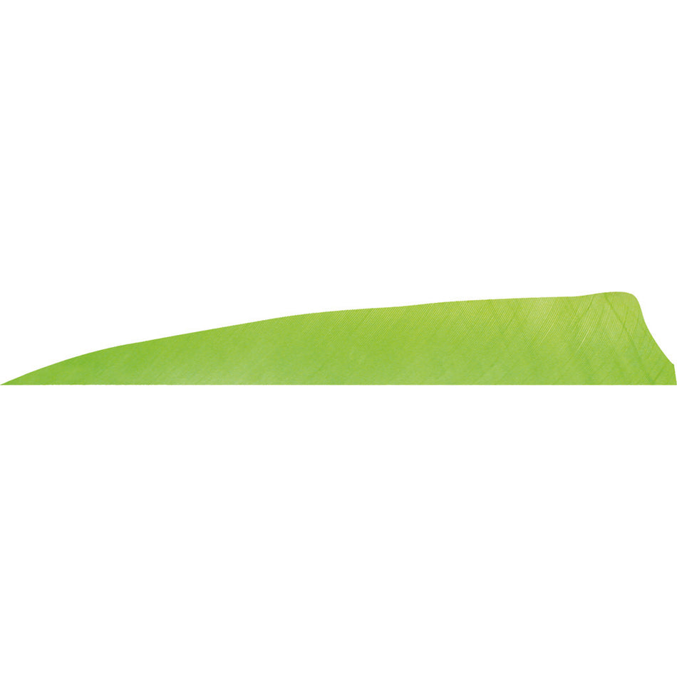 Gateway Shield Cut Feathers Chartreuse 4 in. RW 50-Pack Arrow Fletching