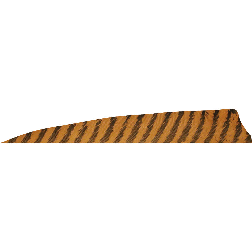 Gateway Shield Cut Feathers Barred Desert Brown 4 in. RW 50-Pack Arrow Fletching