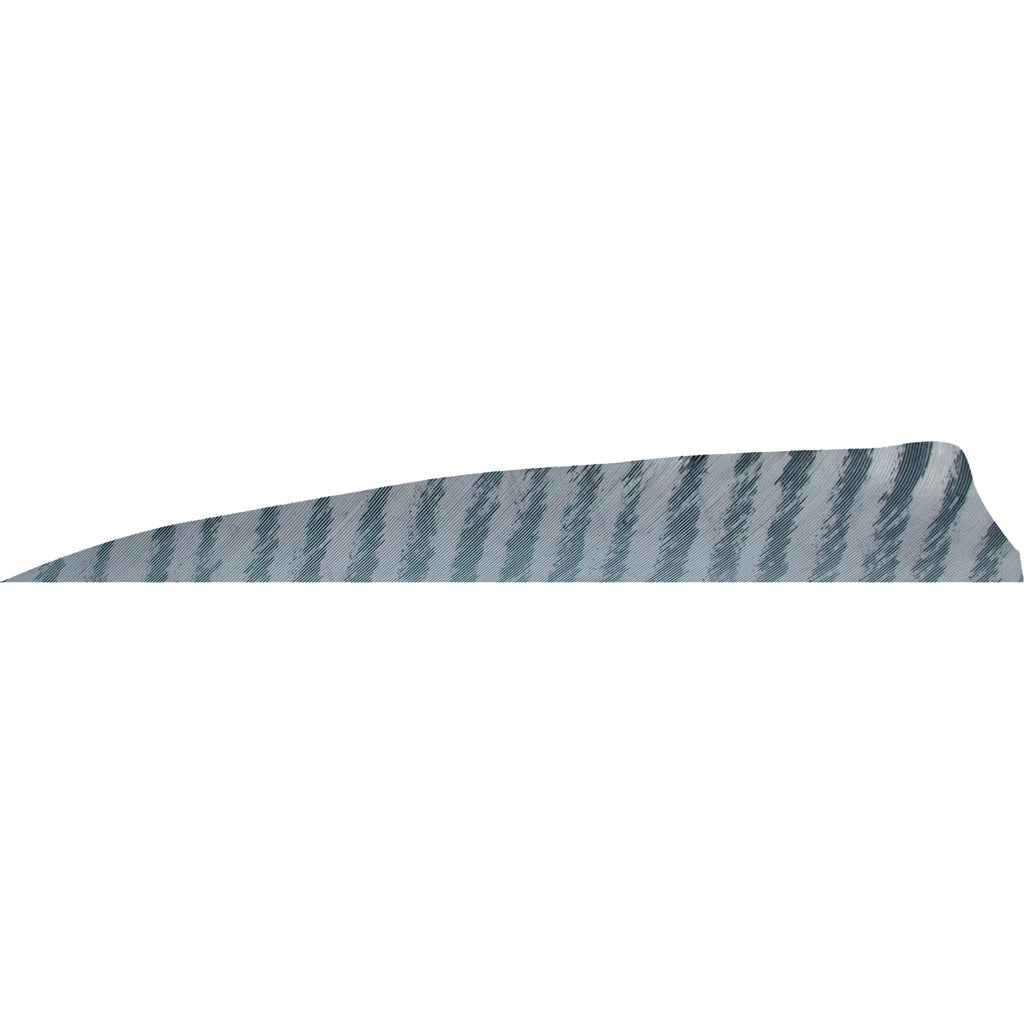 Gateway Shield Cut Feathers Barred Grey 4 in. RW 50-Pack Arrow Fletching