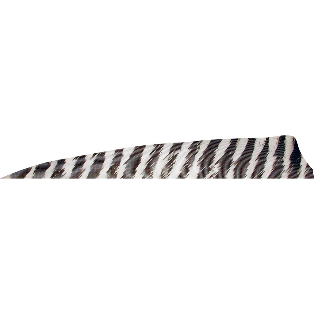 Gateway Feathers Shield Cut Arrow Feathers Barred White 4 in. RW 50-Pack