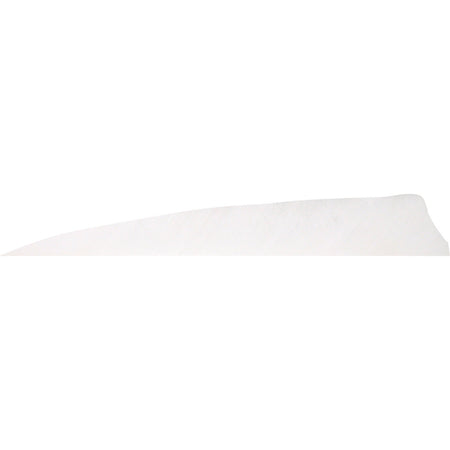Gateway Feathers Shield Cut Arrow Feathers Flo White 4 in. RW 50-Pack