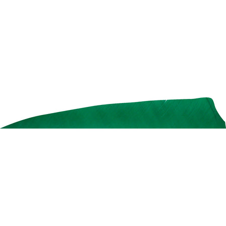 Gateway Feathers Shield Cut Arrow Feathers Green 4 in. RW 50-Pack
