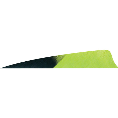 Gateway Feathers Shield Cut Arrow Feathers Kuru Chartreuse 4 in. RW 50-Pack