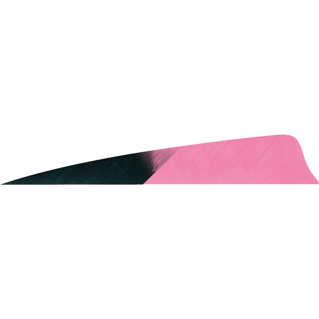 Gateway Feathers Shield Cut Arrow Feathers Kuru Flo Pink 4 in. RW 50-Pack