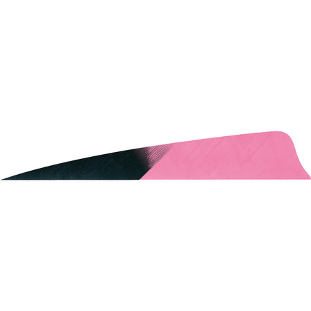 Gateway Feathers Shield Cut Arrow Feathers Kuru Flo Pink 4 in. RW 50-Pack