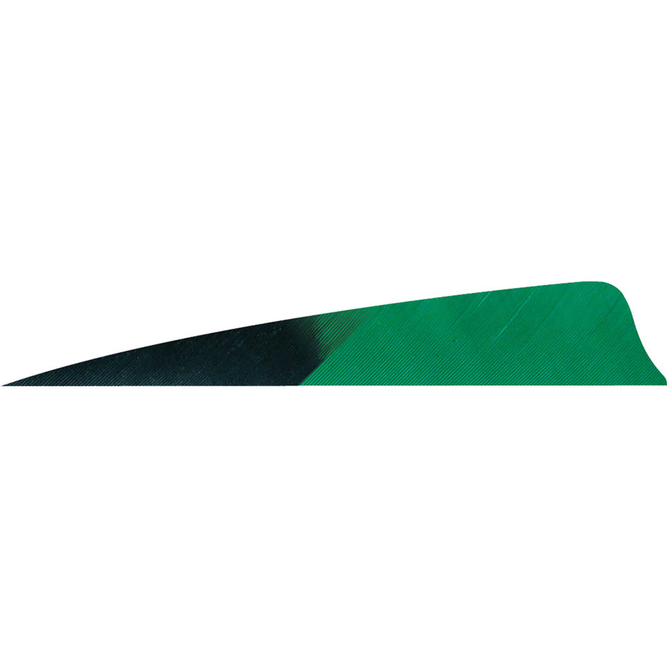 Gateway Feathers Shield Cut Arrow Feathers Kuru Green 4 in. RW 50-Pack