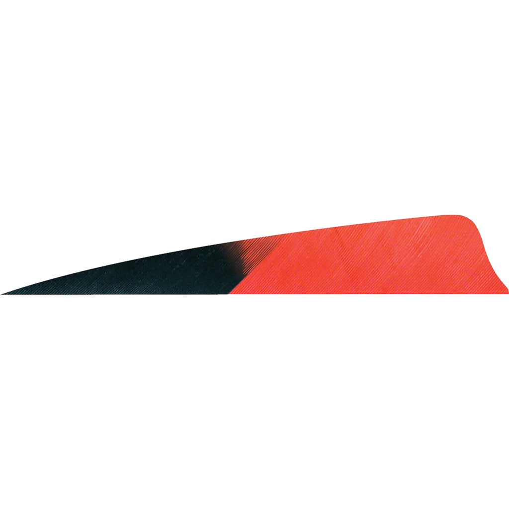 Gateway Feathers Shield Cut Arrow Feathers Kuru Red 4 in. RW 50-Pack