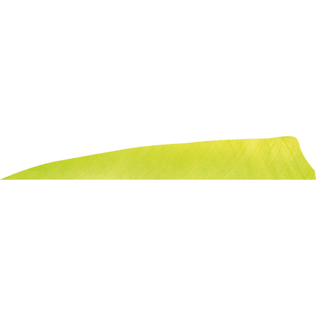 Gateway Shield Cut Feathers Lemon Lime 4 in. RW 50-Pack