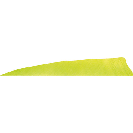 Gateway Shield Cut Feathers Lemon Lime 4 in. RW 50-Pack