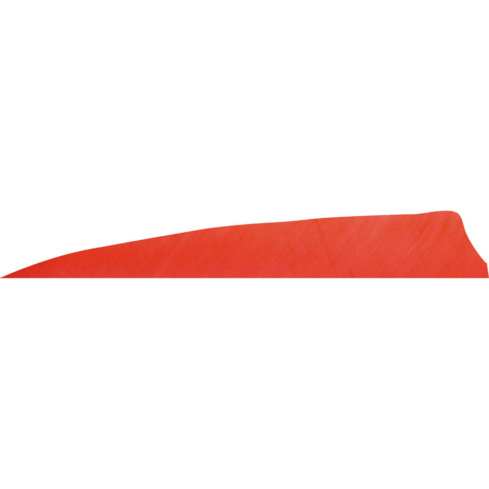 Gateway Shield Cut Feathers Red 4 in. RW 50-Pack