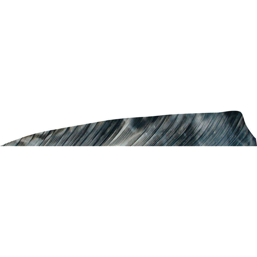 Gateway Shield Cut Feathers Tre Bark 4 in. RW 50-Pack