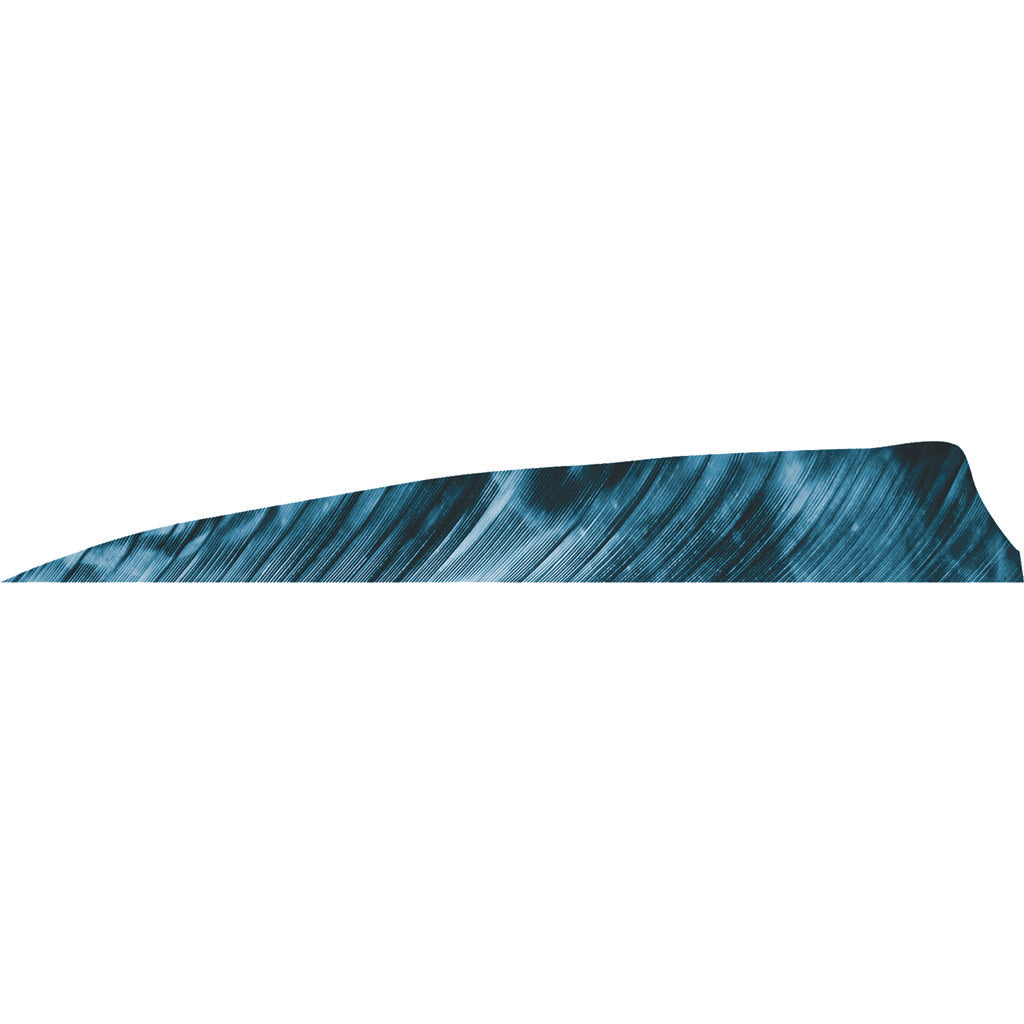 Gateway Shield Cut Feathers Tre Blue 4 in. RW 50-Pack