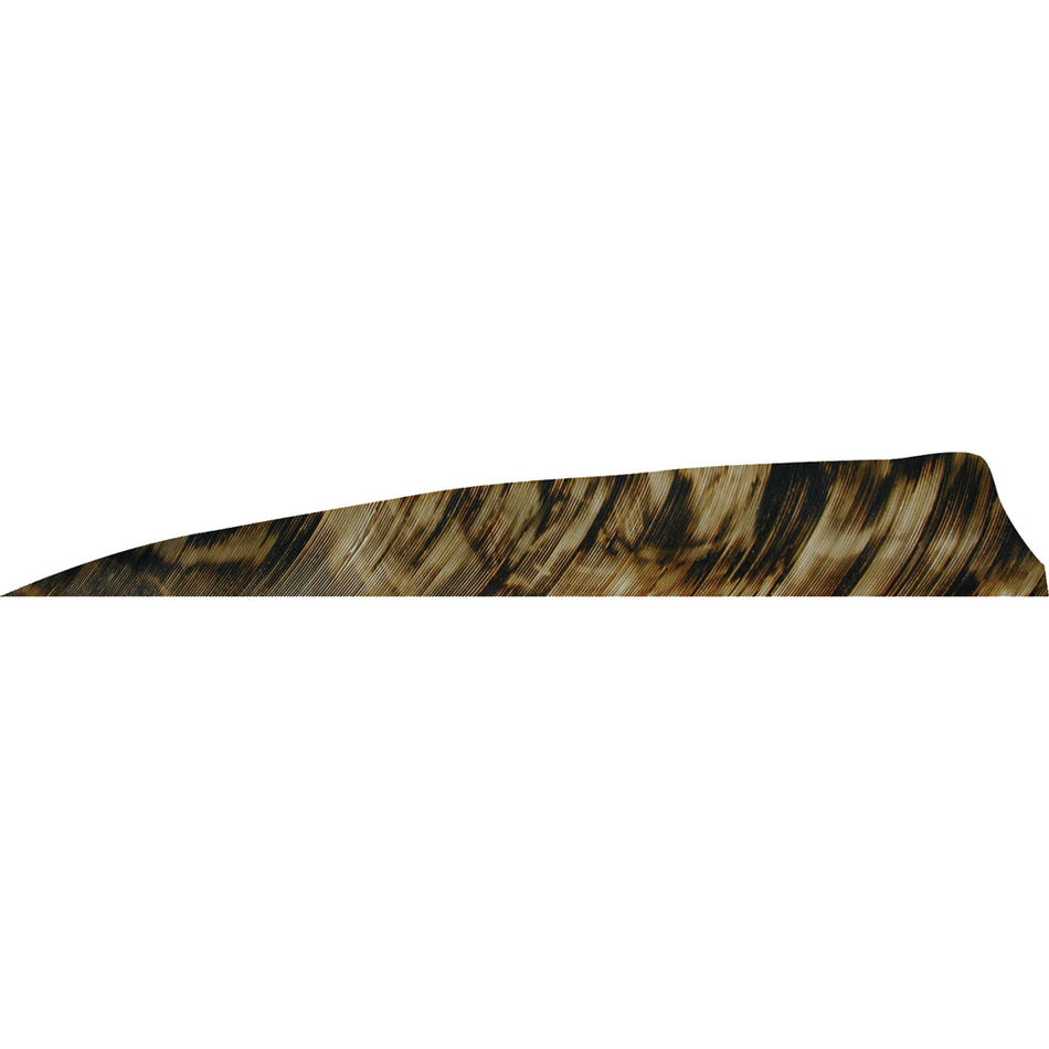 Gateway Shield Cut Feathers Tre Brown 4 in. RW 50-Pack