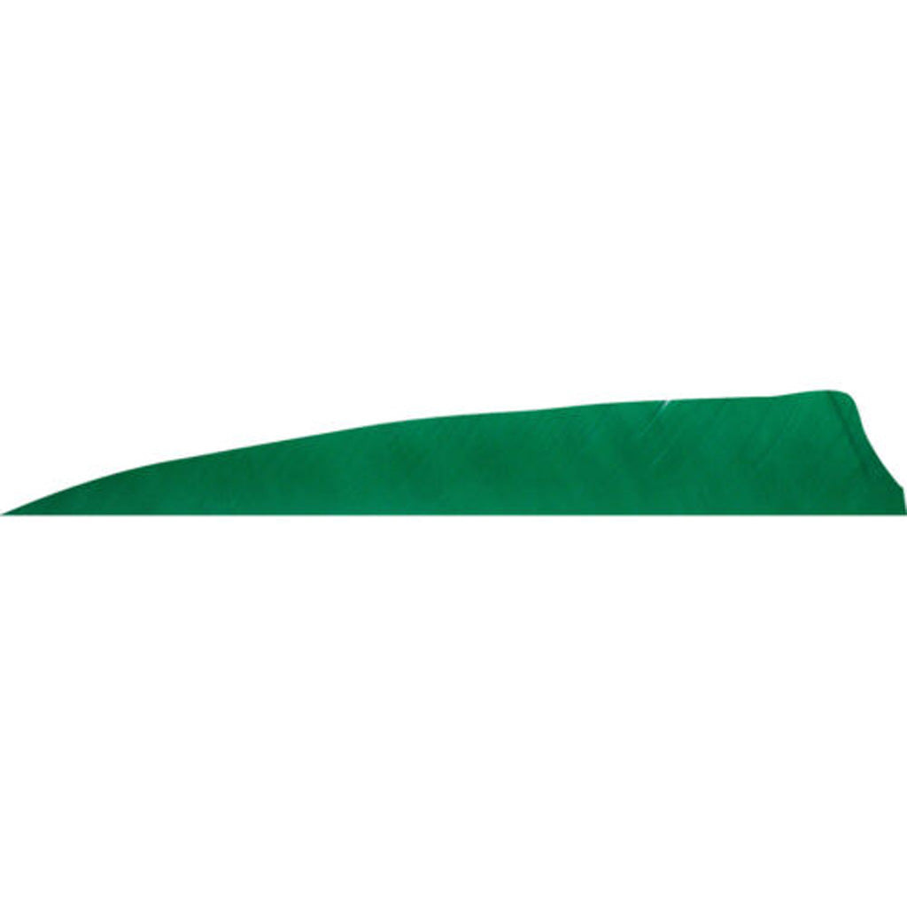 Gateway Shield Cut Feathers Tre Green 4 in. RW 50-Pack