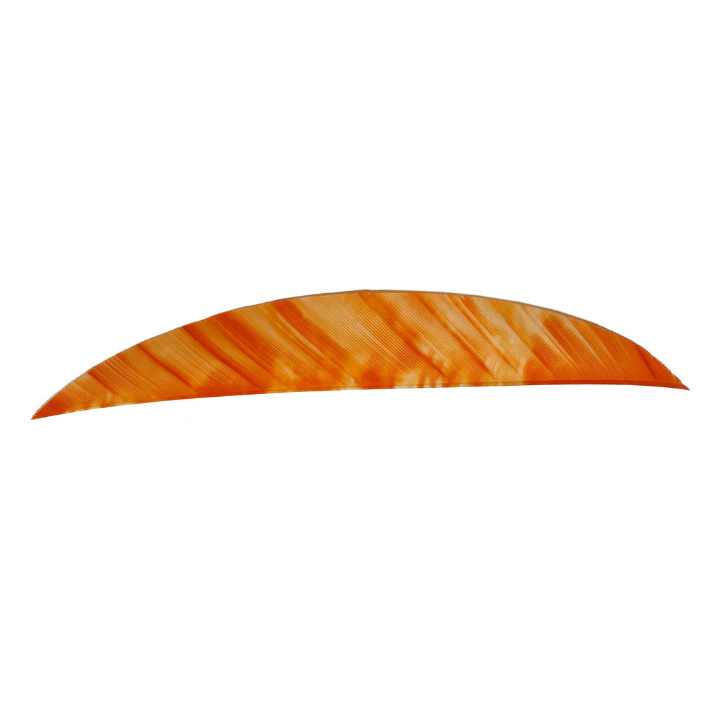 Gateway Magnum Feathers Tre White/Orange 5.5 in. RW 50-Pack