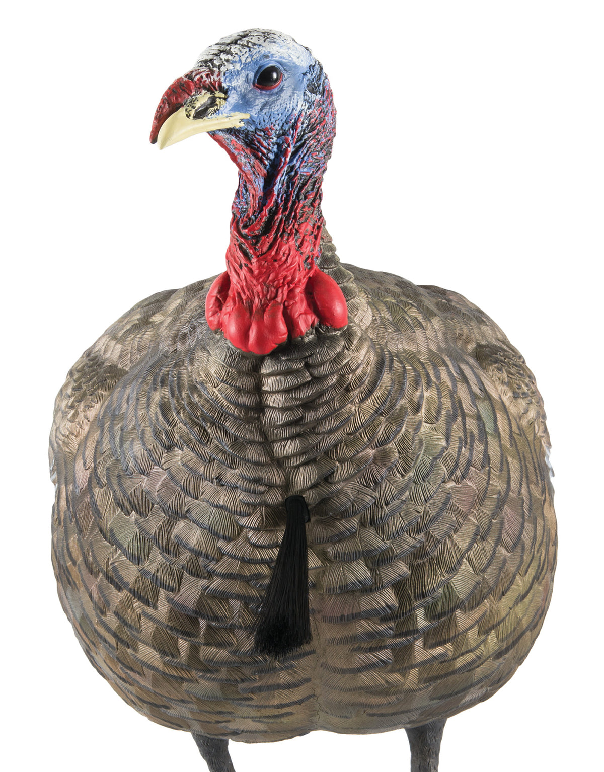 Avian-X LCD Quarter-Strut Jake Turkey Decoy Dura-Rubber Multi-Color