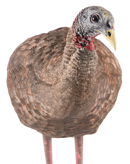 Avian-X LCD Breeder Hen Turkey Decoy Dura-Rubber Multi-Color