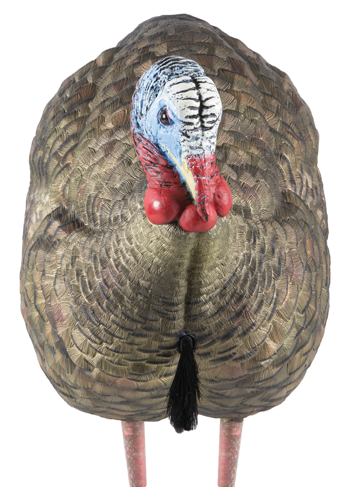 Avian-X LCD Half-Strut Jake Turkey Decoy Dura-Rubber Multi-Color