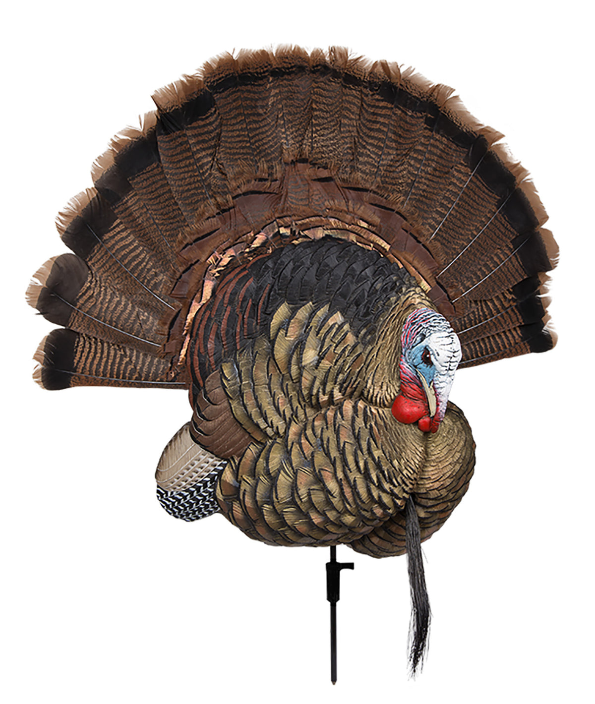 Avian-X Trophy Tom Turkey Tail Fan Showpiece and 2D Decoy No Fan