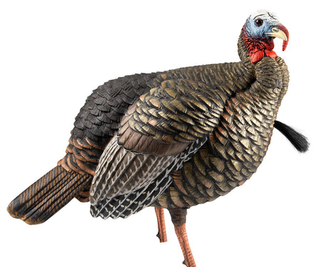 Avian-X HDR Jake Turkey Decoy Multi-Color with Interchangeable Heads