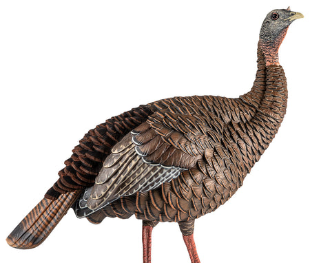 Avian-X HDR Hen Turkey Decoy Multi-Color with Interchangeable Heads