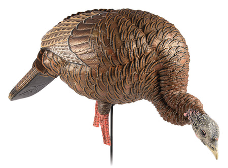 Avian-X HDR Feeder Hen Turkey Decoy Multi-Color Feeding Posture