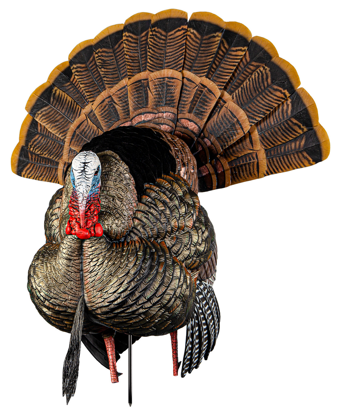 Avian-X HDR Strutter Turkey Decoy Multi-Color Interchangeable Heads and Fan