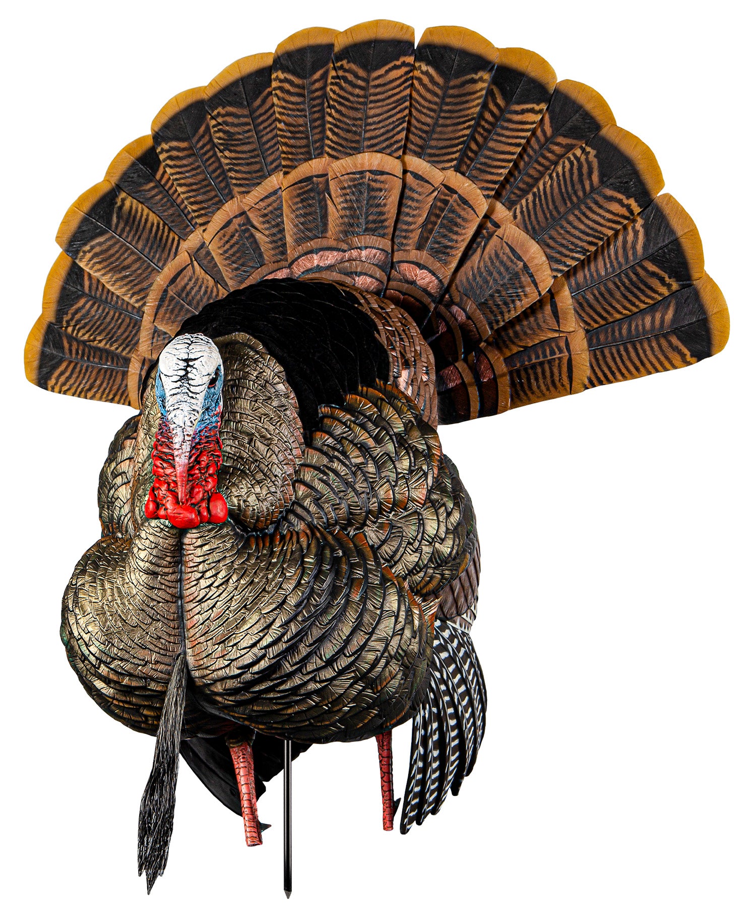 Avian-X HDR Strutter Turkey Decoy Multi-Color Interchangeable Heads and Fan