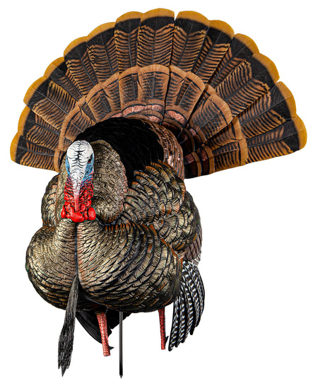Avian-X HDR Strutter Turkey Decoy Multi-Color Interchangeable Heads and Fan