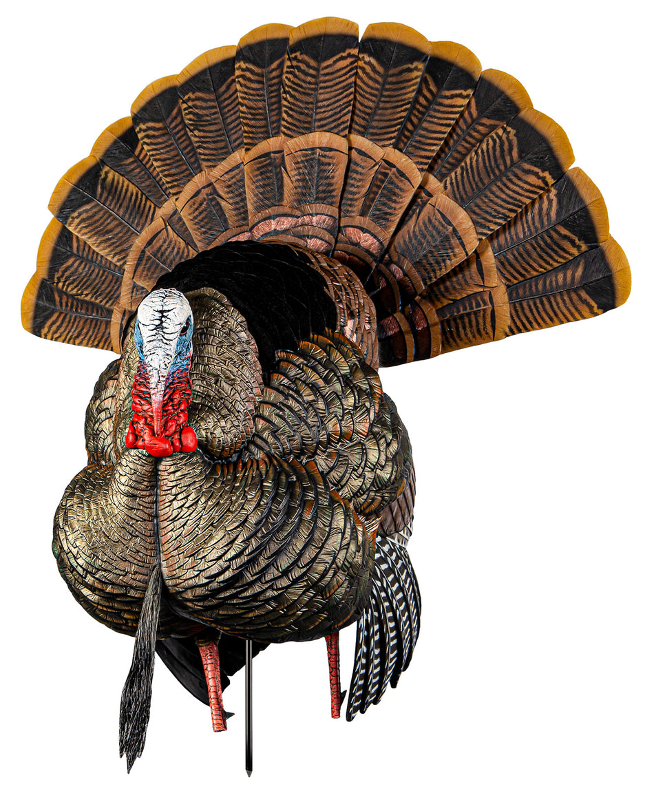 Avian-X HDR Strutter Turkey Decoy Multi-Color Interchangeable Heads and Fan