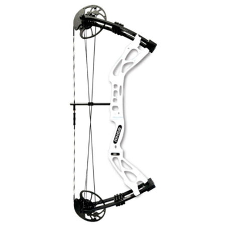 AMS RINGO Bowfishing Compound Bow Right Hand