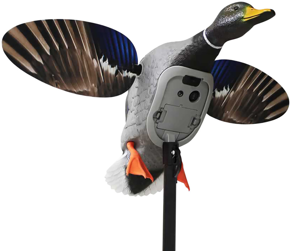 Mojo Outdoors HW2520 Elite Series King Mallard Motorized Spinning Wing Decoy, Multi Color Plastic