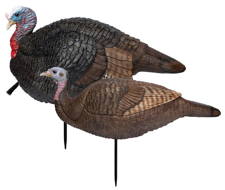 Primos 69075 Lil' Gobblestopper Jake & Hen Turkey Decoy Combo, Multi Color