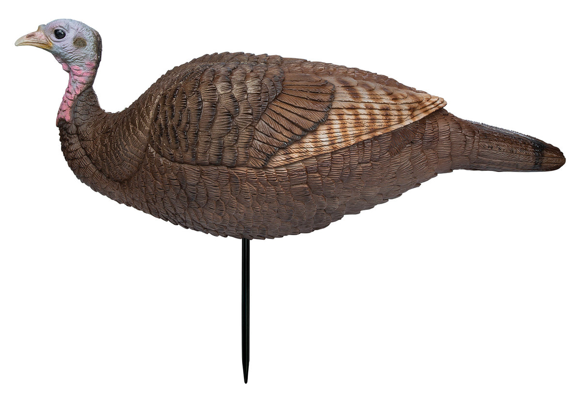 Primos 69073 Lil Gobstopper Hen Turkey Decoy, Multi Color