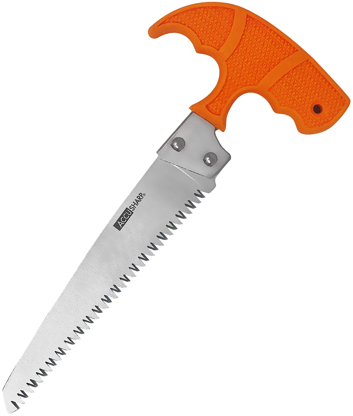 AccuSharp 730C 6" Fixed Blade Bone Saw - Stainless Steel with Blaze Orange T-Shaped Handle & Nylon Belt Sheath