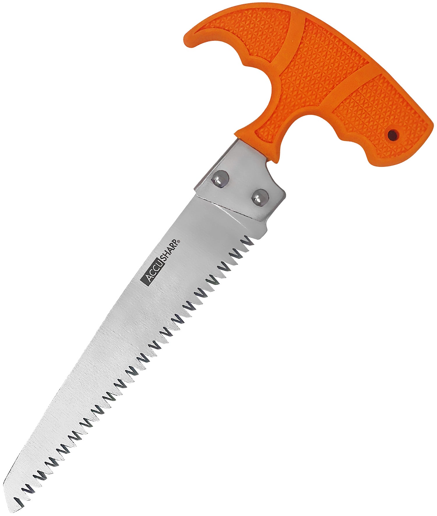 AccuSharp 730C 6" Fixed Blade Bone Saw - Stainless Steel with Blaze Orange T-Shaped Handle & Nylon Belt Sheath