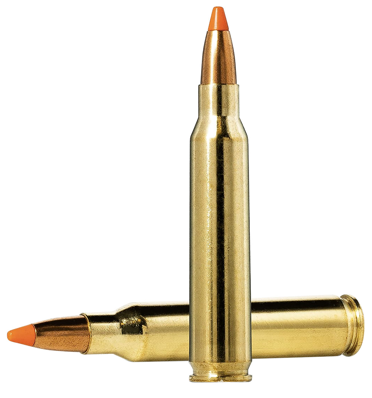 Norma 20157352 Dedicated Hunting Varmint Polymer Tip PT 55 Grain .223 Remington