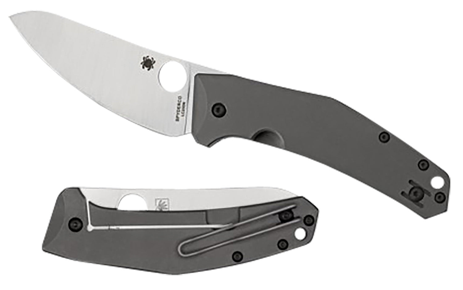 Spyderco SpydieChef Salt 3.32" Folding Plain LC200N Blade Satin Titanium Handle C211TIP