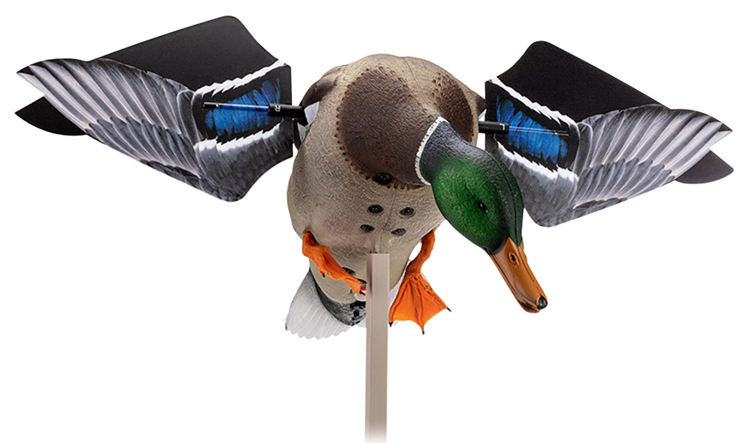 Avian X AVXAVXDP100 PowerFlight Smart Motion Mallard Drake Motorized Spinning Wing Duck Decoy