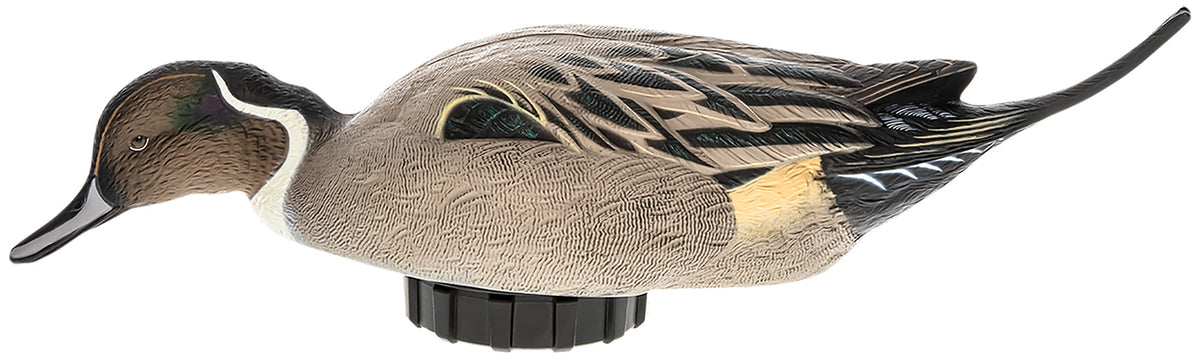 Avian X AVXPSHPNSF Power Shaker Pintail Surface Feeder Motorized Duck Decoy Multi-Color